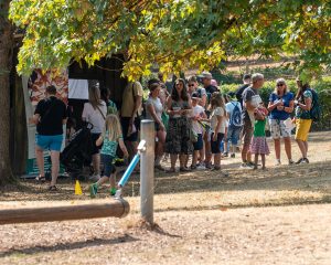 Spielefest bei den Wildparkfreunden im Wild und Wanderpark